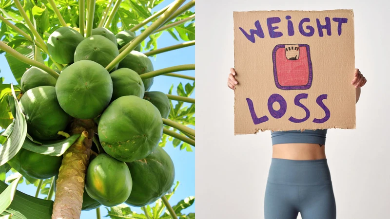 Ăn đu đủ có giảm cân không? Khám phá lợi ích và cách sử dụng hiệu quả 1