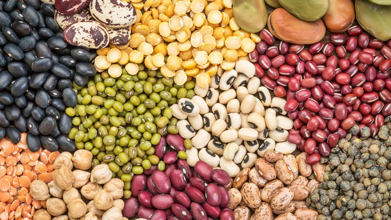 Các loại đậu là nguồn cung cấp protein thực vật chất lượng