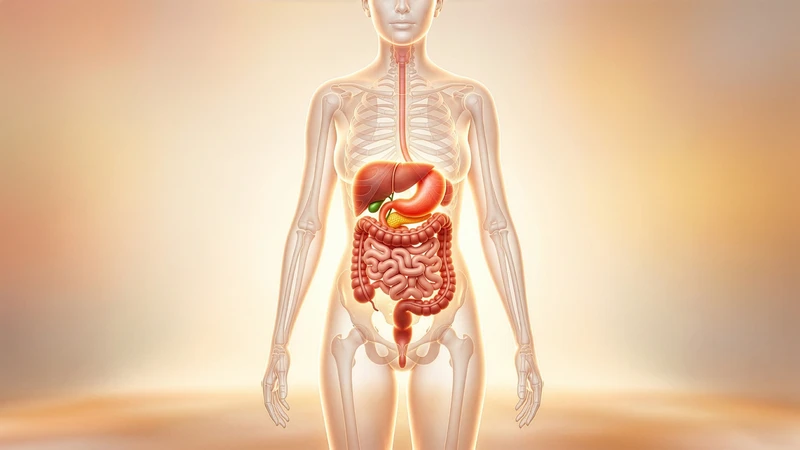 Ăn quá nhiều chất xơ có thể gây rối loạn tiêu hóa