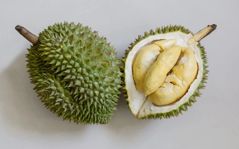 Sầu riêng chứa nhiều thành phần dinh dưỡng như chất béo, chất xơ, chất đạm...