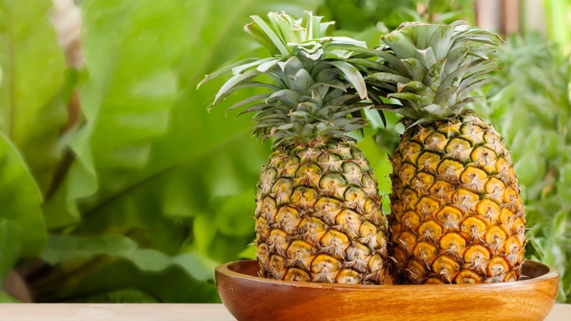 Thơm là loại trái cây nhiệt đới giàu dinh dưỡng và enzyme có lợi
