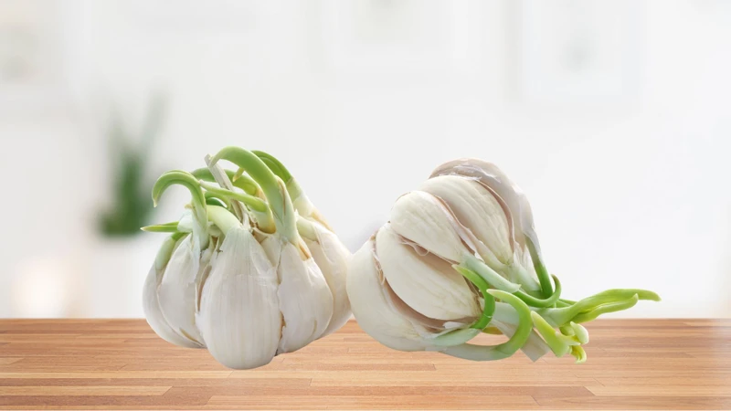 Tỏi hỗ trợ làm chậm quá trình lão hóa cơ thể