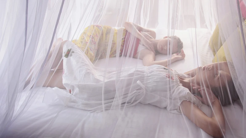 Ngủ màn là biện pháp đơn giản nhưng hiệu quả để phòng ngừa côn trùng đốt