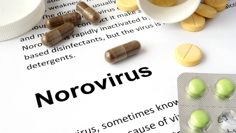 Bà bầu bị nhiễm Norovirus có nguy hiểm không?
