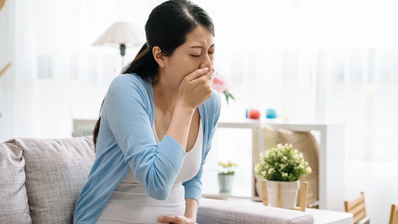 Yến sào giúp mẹ bầu bổ sung dinh dưỡng trong những ngày ốm nghén