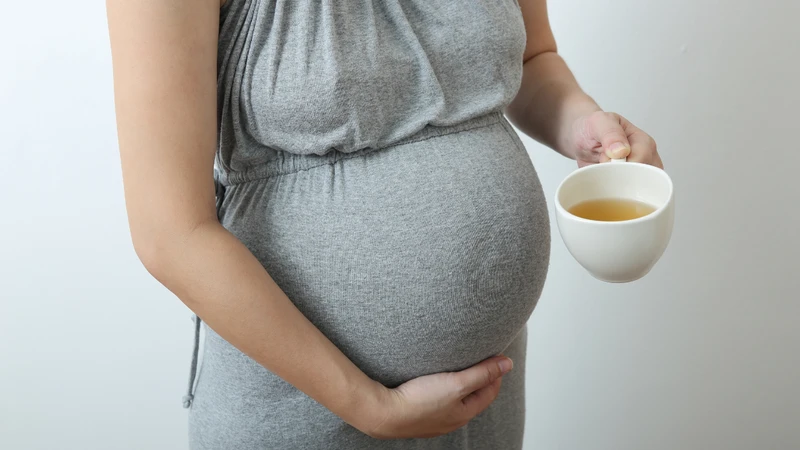 Củ gai giúp hỗ trợ sức khỏe bà bầu