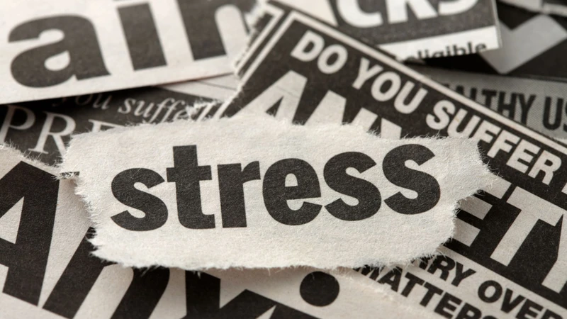 Stress có thể là nguyên nhân khiến bạch cầu tăng cao trong thai kỳ