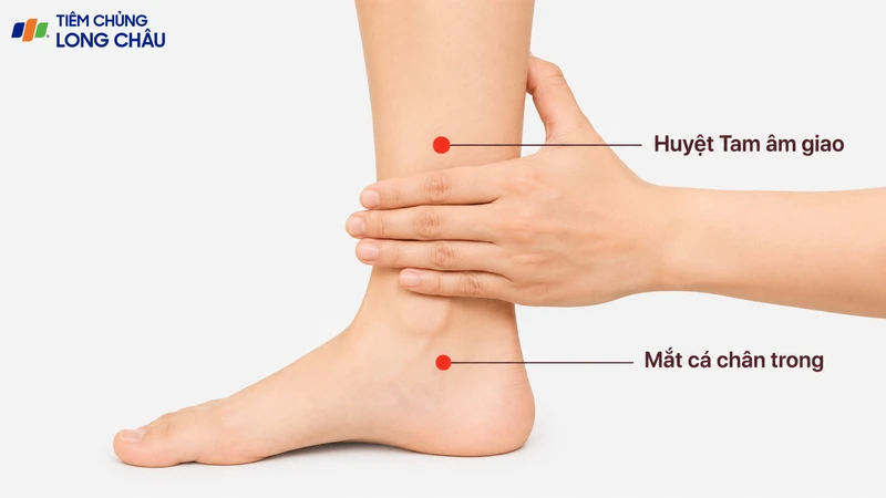 Huyệt Tam âm giao nằm phía trên mắt cá trong và cần xác định đúng vị trí