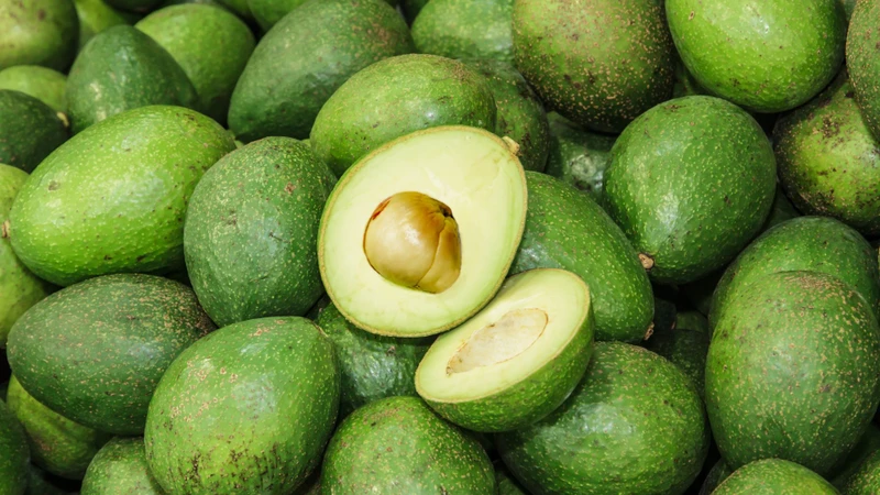 Người bệnh đại tràng nên bổ sung quả bơ vào chế độ dinh dưỡng