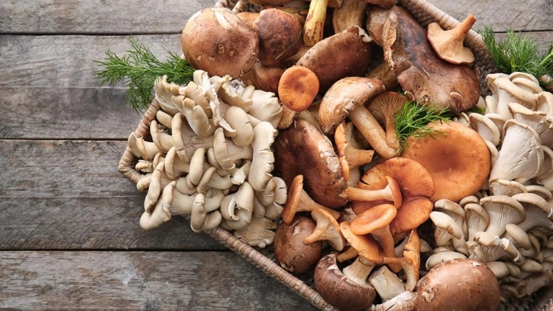 Bầu 3 tháng đầu có được ăn nấm không? 2