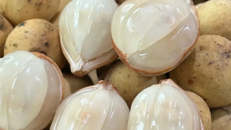 Bầu ăn bòn bon được không? Tác dụng, lưu ý và cách ăn an toàn cho mẹ bầu 4