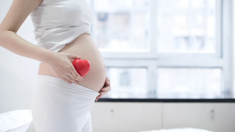 Bầu ăn được tía tô không? Tác dụng và lưu ý mẹ bầu cần biết 1