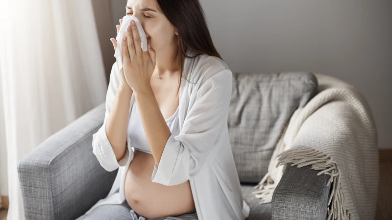 Bầu ăn được tía tô không? Tác dụng và lưu ý mẹ bầu cần biết 4