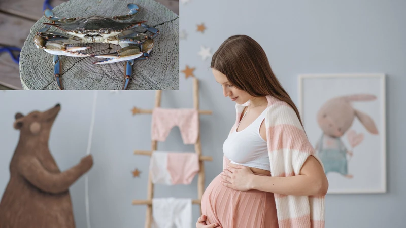 Bầu ăn ghẹ được không? Những lưu ý quan trọng cho mẹ bầu khi ăn ghẹ 1