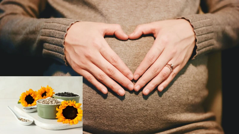 Bầu ăn hạt hướng dương được không? Lợi ích, rủi ro và lưu ý quan trọng cho mẹ bầu