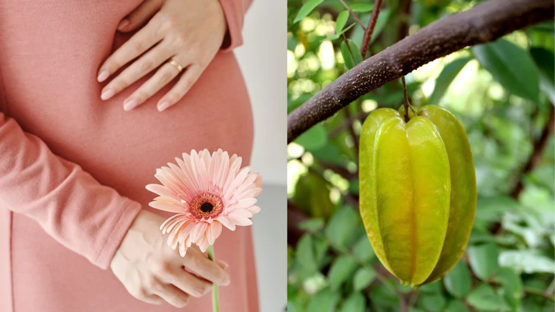 Bầu ăn khế được không? Lợi ích và những lưu ý quan trọng mẹ bầu nên biết 1