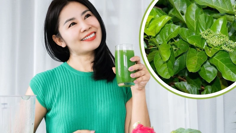 Bầu ăn lá cách được không? Loại lá này có tác dụng gì? 2