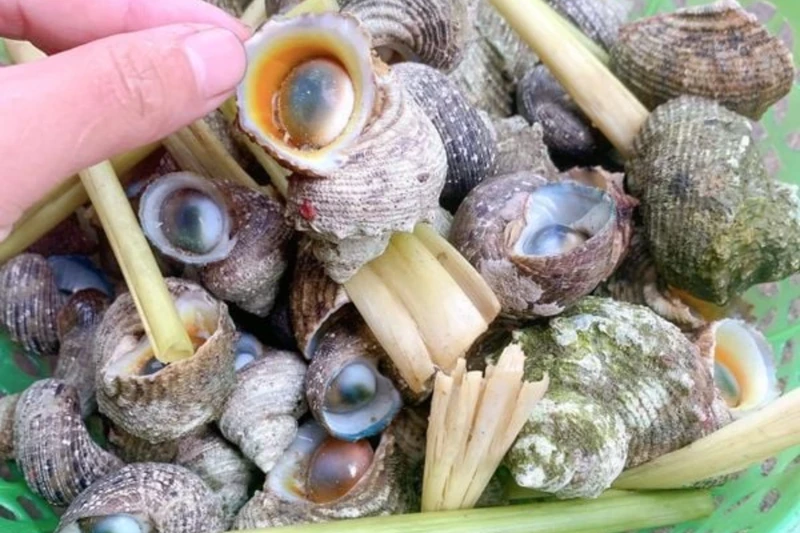 Bầu ăn ốc được không? 5 loại ốc mẹ bầu không nên ăn 5