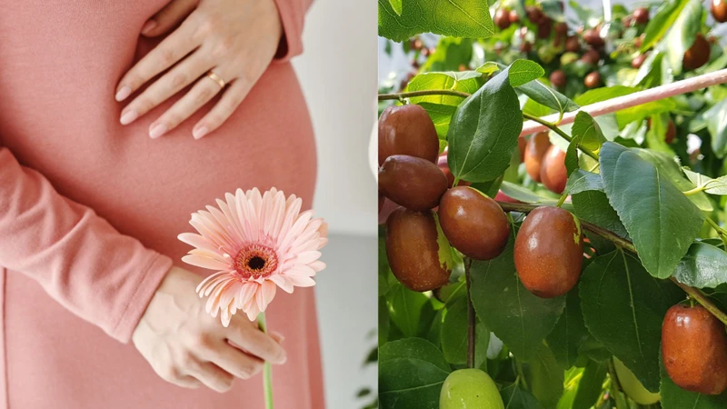 Bầu ăn táo tàu được không? Giải đáp lợi ích và lưu ý quan trọng cho mẹ bầu 1