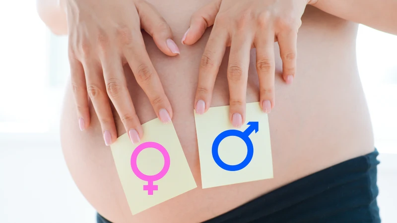 Bầu nghén ngủ sinh con trai hay gái? Liệu có dự đoán được giới tính của em bé không? 2