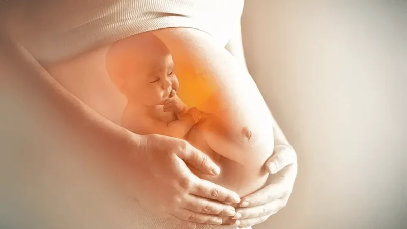 Bầu ra dịch trắng có đáng lo? Những điều mẹ cần biết 2