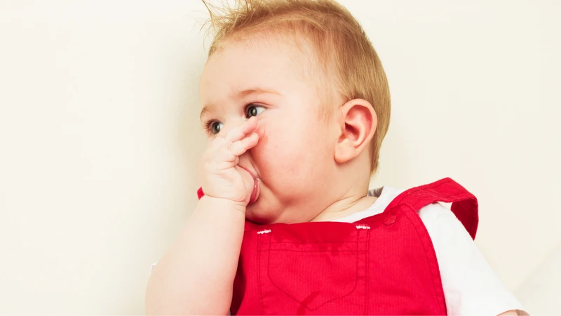 Bé 5 tháng ăn dặm được chưa​? Nguyên tắc xây dựng lịch ăn dặm cho bé 2