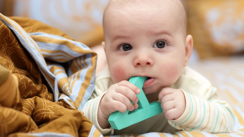 Thích nhai hoặc cắn đồ vật là phản xạ phổ biến giúp bé giảm cảm giác khó chịu ở vùng nướu khi mọc răng