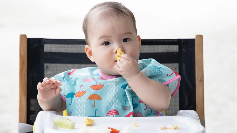 Bé mấy tháng ăn được lươn? Hướng dẫn dinh dưỡng an toàn mẹ cần biết 2