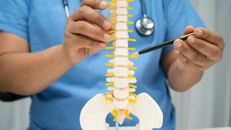 Đau lưng có thể do nhiều nguyên nhân khác nhau