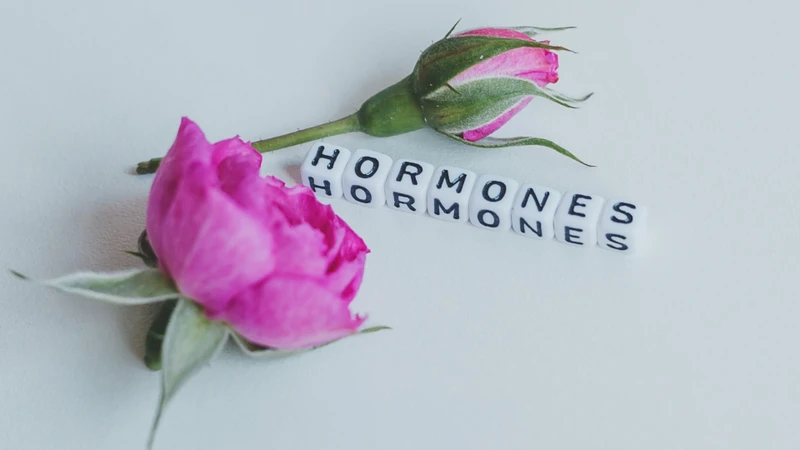Nám nội tiết hình thành chủ yếu do sự mất cân bằng hormone trong cơ thể