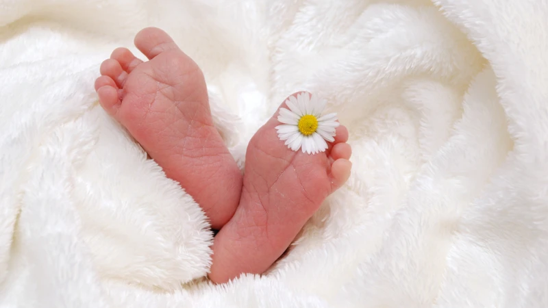 Biến chứng trong thai sản như sinh non, nhẹ cân, thiếu oxy não khi sinh có thể làm tăng nguy cơ phát triển ASD