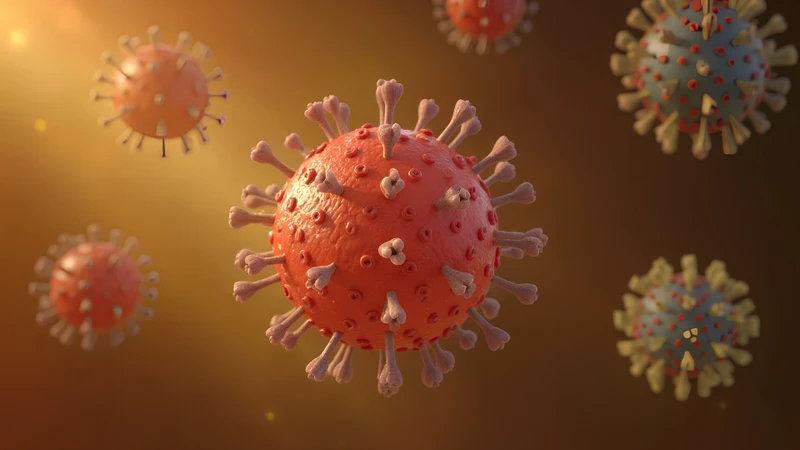 Cytomegalovirus được ghi nhận là có liên quan đến suy tủy xương