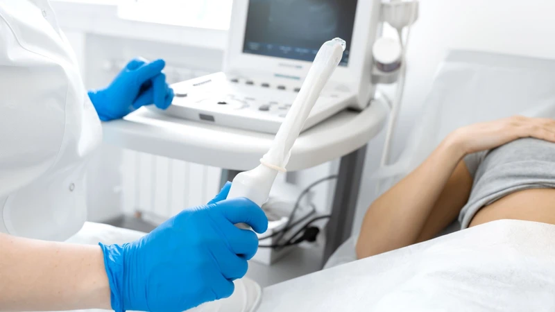 Siêu âm giúp quan sát các cơ quan trong vùng chậu, bao gồm tử cung, buồng trứng và khu vực phần phụ