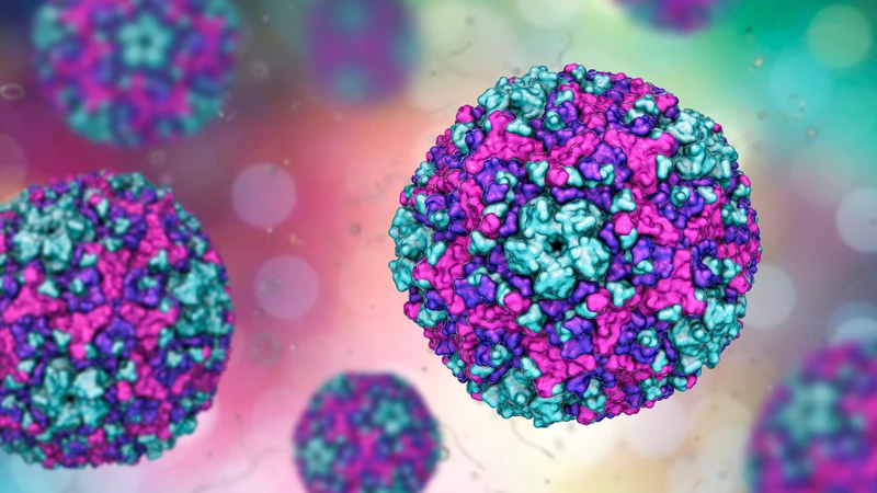 Coxsackievirus có khả năng gây tổn thương trực tiếp tế bào cơ tim hoặc kích hoạt phản ứng viêm của hệ miễn dịch