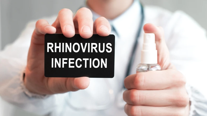 Rhinovirus là một trong những loại virus có thể gây viêm khí quản