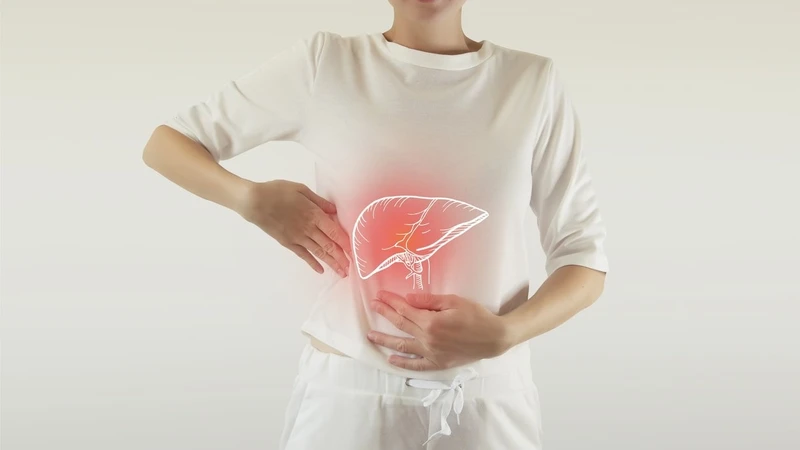 Áp xe gan do nhiễm trùng nội sinh thường không lây giữa người với người