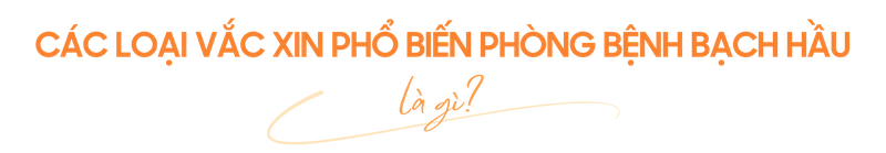 benh-bach-hau (10).png