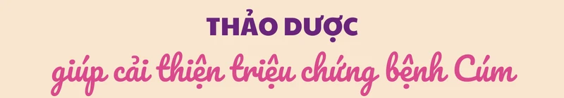 benh-cum-title (9).png