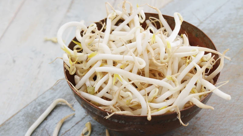 Người bệnh gout có ăn giá đỗ được không?