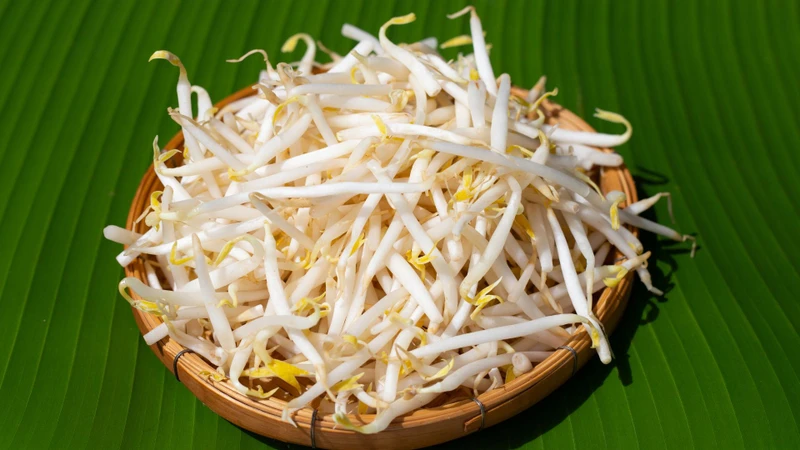 Người bị bệnh gout vẫn có thể bổ sung giá đỗ vào chế độ ăn cân đối