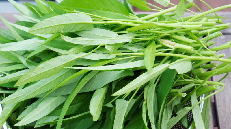 Người bệnh gout ăn rau muống được không?