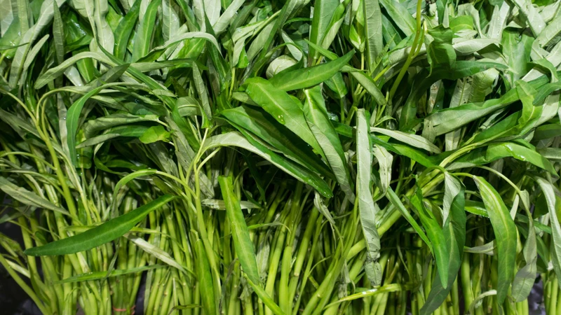 Người bệnh nên sử dụng rau muống như một phần của khẩu phần rau xanh hằng ngày