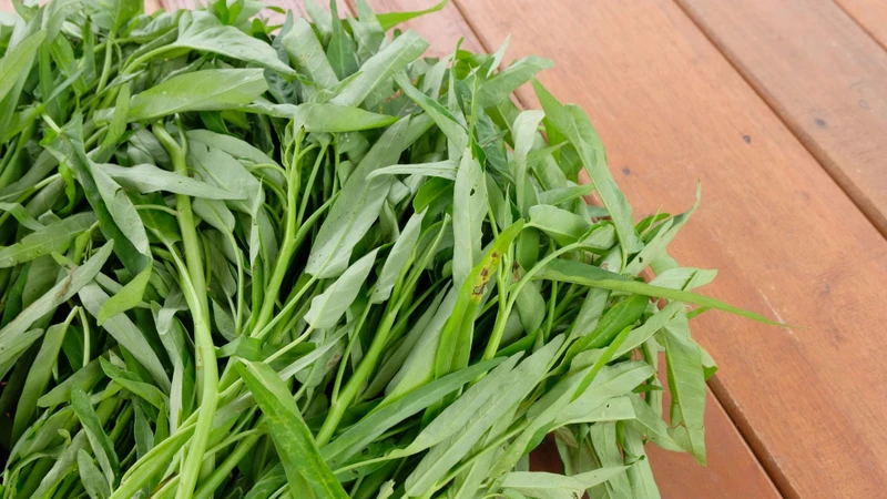 Người bệnh gout không cần kiêng hoàn toàn rau muống