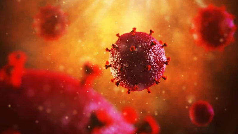 Bệnh HIV từ đâu ra? Biện pháp phòng ngừa bệnh HIV hiệu quả 2