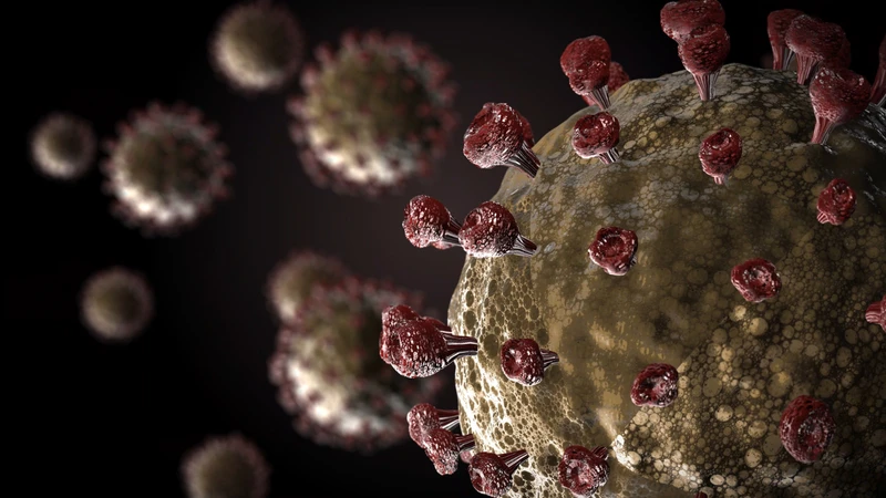 Virus SARS-CoV-2 gây mất khứu giác