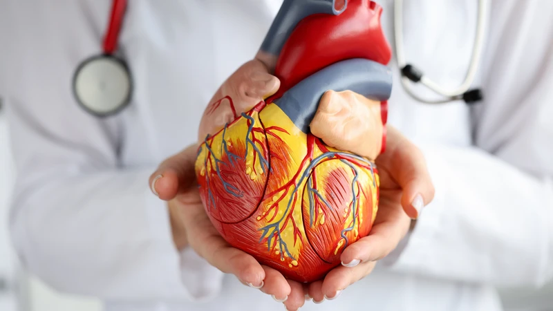 Rối loạn nhịp tim kéo dài làm cho cơ tim yếu dần