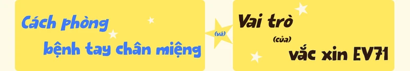 benh-tay-chan-mieng-dau-hieu-cach-dieu-tri-va-phong-ngua-cho-tre-4.png