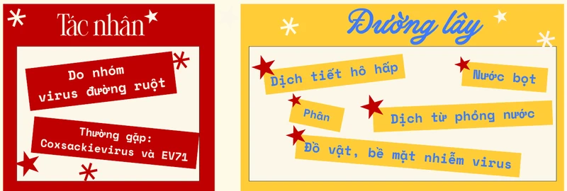 benh-tay-chan-mieng-dau-hieu-cach-dieu-tri-va-phong-ngua-cho-tre-5.png
