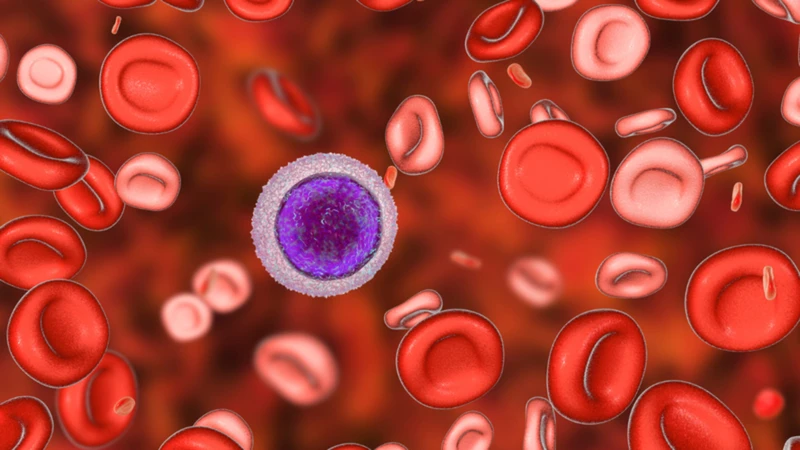 Thalassemia dị hợp tử dễ nhầm với thiếu máu thiếu sắt