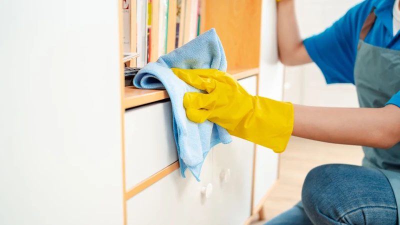 Dọn dẹp nhà cửa sạch sẽ giúp hạn chế nấm mốc có thể gây viêm mũi